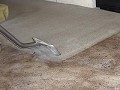 Absolute Carpet & Upholstery Cleaning LLC